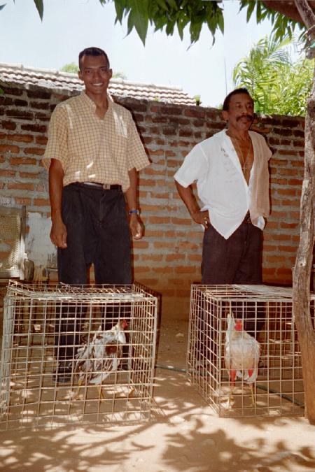 Jorge and his uncle who raises cocks. / Jorge y su to quien cra gallos.